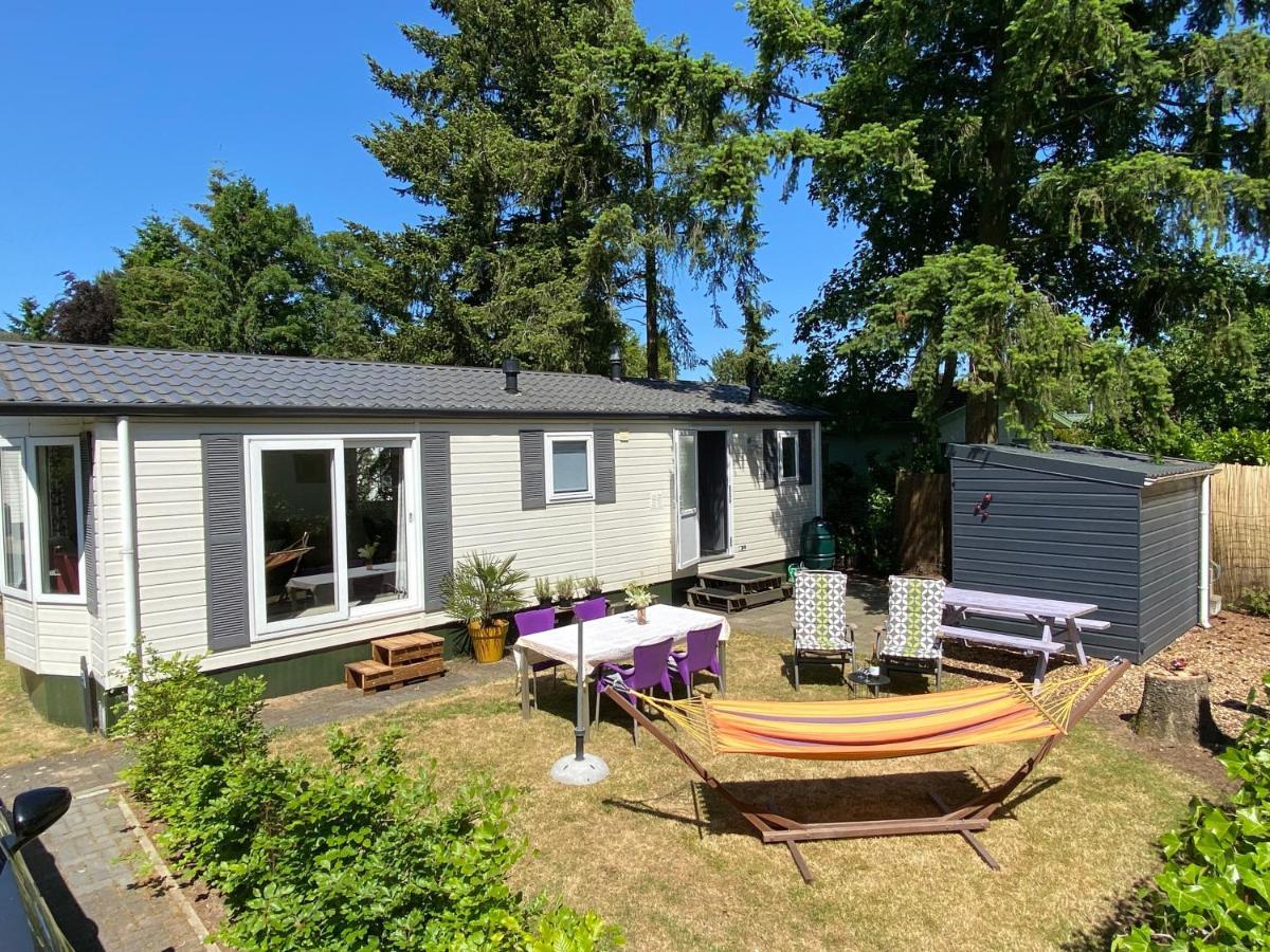 Ruim En Modern Chalet In De Veluwse Bossen Putten Zewnętrze zdjęcie